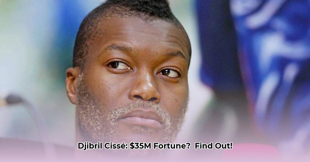 djibril-cisse-net-worth